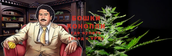 тгк Кукмор