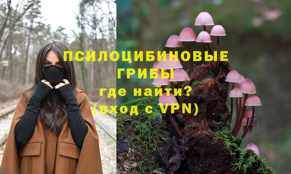 тгк Кукмор