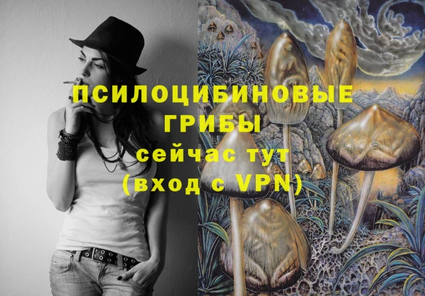 стаф Куйбышев