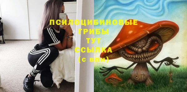 трава Кулебаки