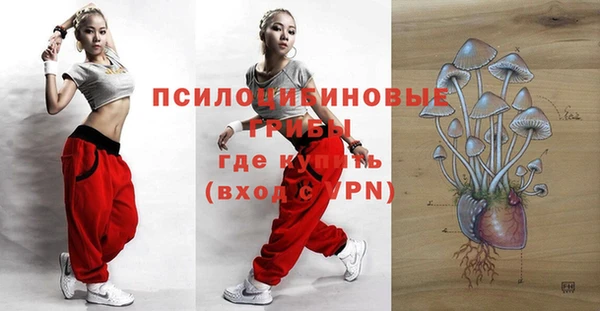 стаф Куйбышев