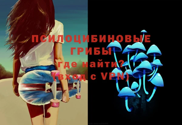 тгк Кукмор