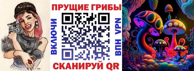 Псилоцибиновые грибы MAGIC MUSHROOMS  как найти наркотики  Новая Ляля 